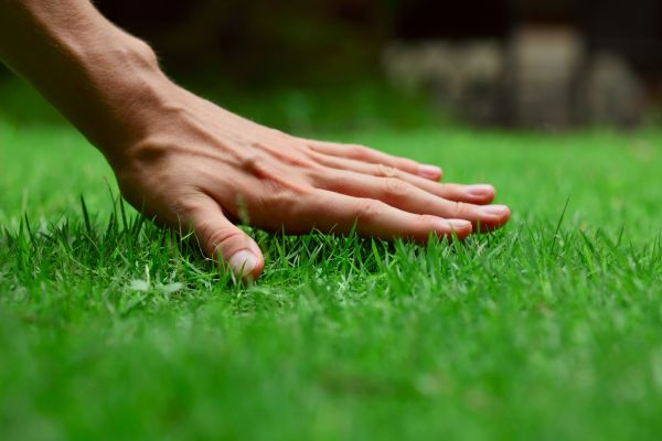 Richmond Lawn Treatment